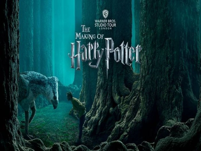 The Forbidden Forest